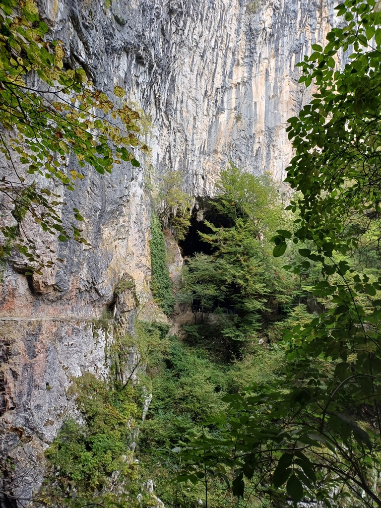 Slovenia26 Dz3 Cz2 8