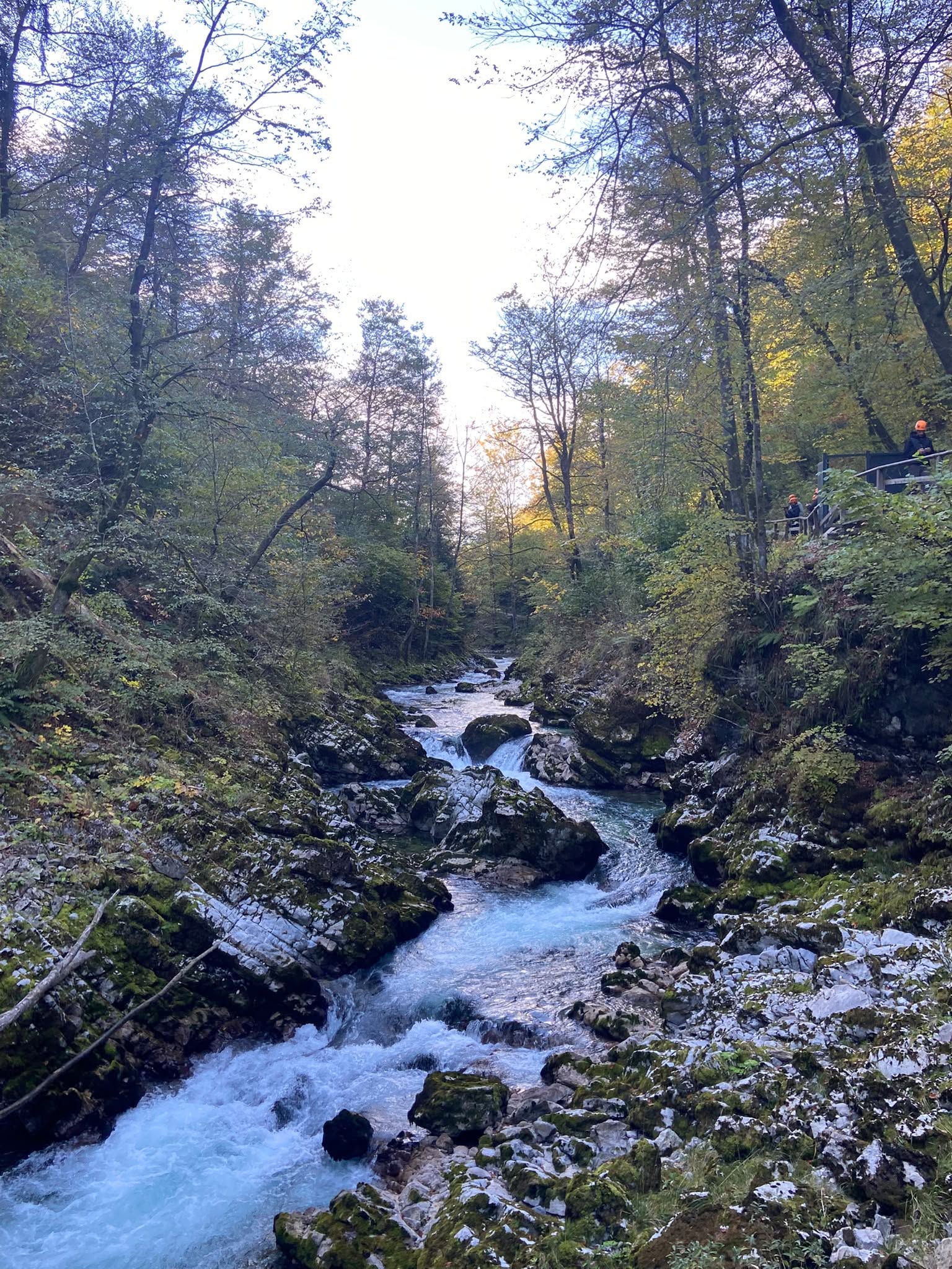 Triglavski Narodni Park 6