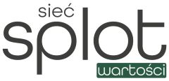 splot wartosci logo splotwartosci kolor logo splotwartosci kolor 1024x496