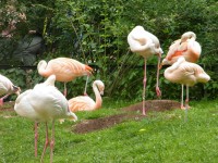 zywa_lekcja_biologii (1)