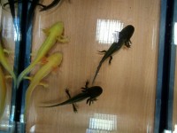 IMG_20190927_202802_HDR