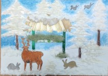 50. Tylek Ewa, kl.2 ZPO Głogoczów