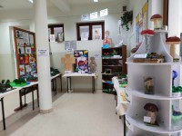 swieto_nauk_przyrodniczych (13)