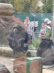zoo_2022 (24)