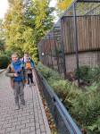 zoo_2022 (5)