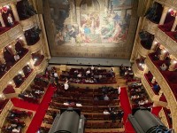 chory_z_urojenia (6)