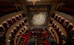 chory_z_urojenia (7)