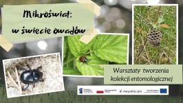 Mikroświat_wydarzenie