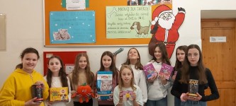 mikolajki_dla_zwierzat (11)