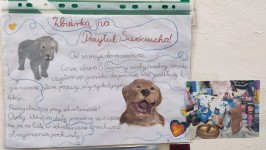 przytul_siersciucha2